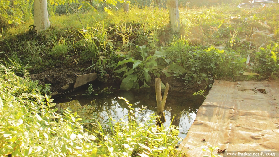 Springs - Izvor Virevi